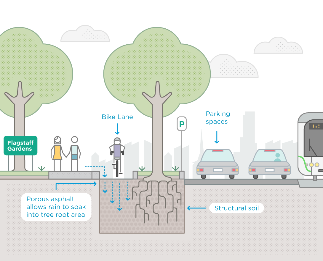 Project Details - Bike Lane Separated Trees (1090x883), Png Download