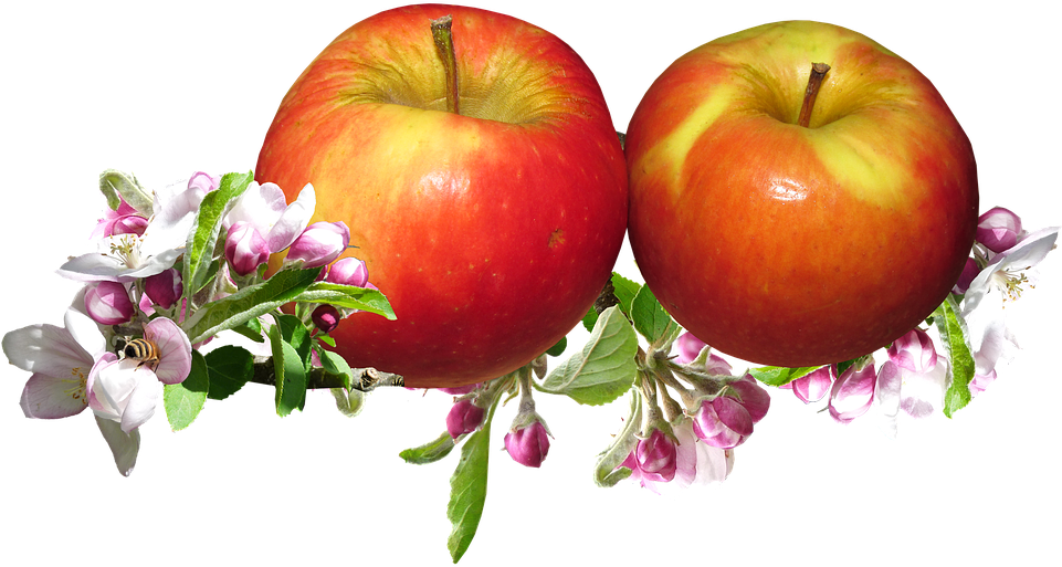 Red Apples, Apple Blossom, Springtime, Garden - Color (960x542), Png Download