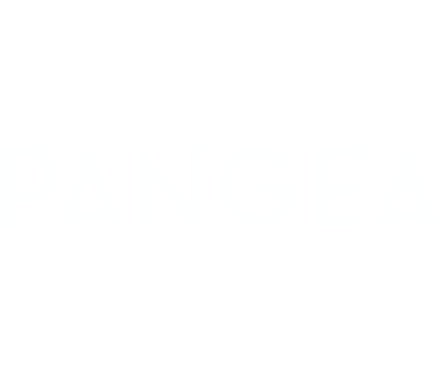 Tiffany & Co - Pangea Coins & Jewelry (1000x412), Png Download