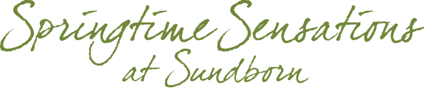 Dave Dekker: Dit Ben Ik! Cd (866x180), Png Download