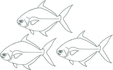 The Fisherman's Secret To Perfectly Cooked Fish - Mahi-mahi (432x433), Png Download