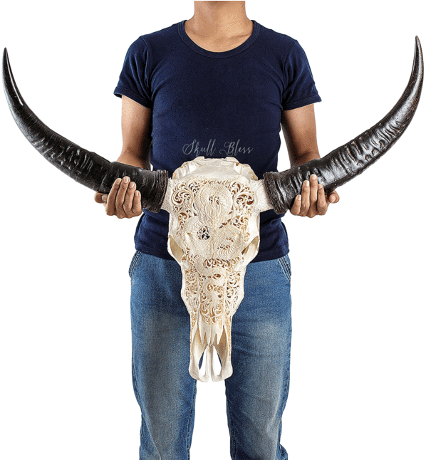 Carved Buffalo Skull - Skull (645x645), Png Download