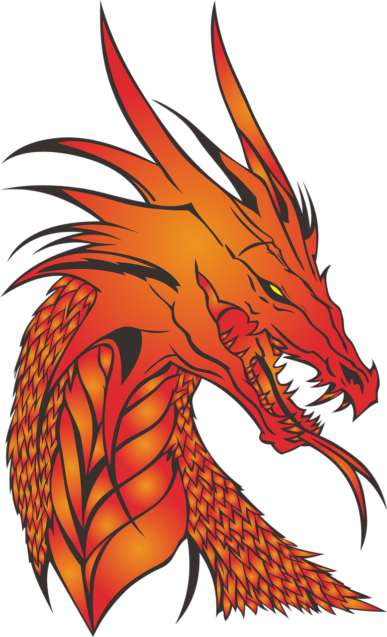 Dragon,no Background,the Head Of - Dragon Head No Background (778x1280), Png Download