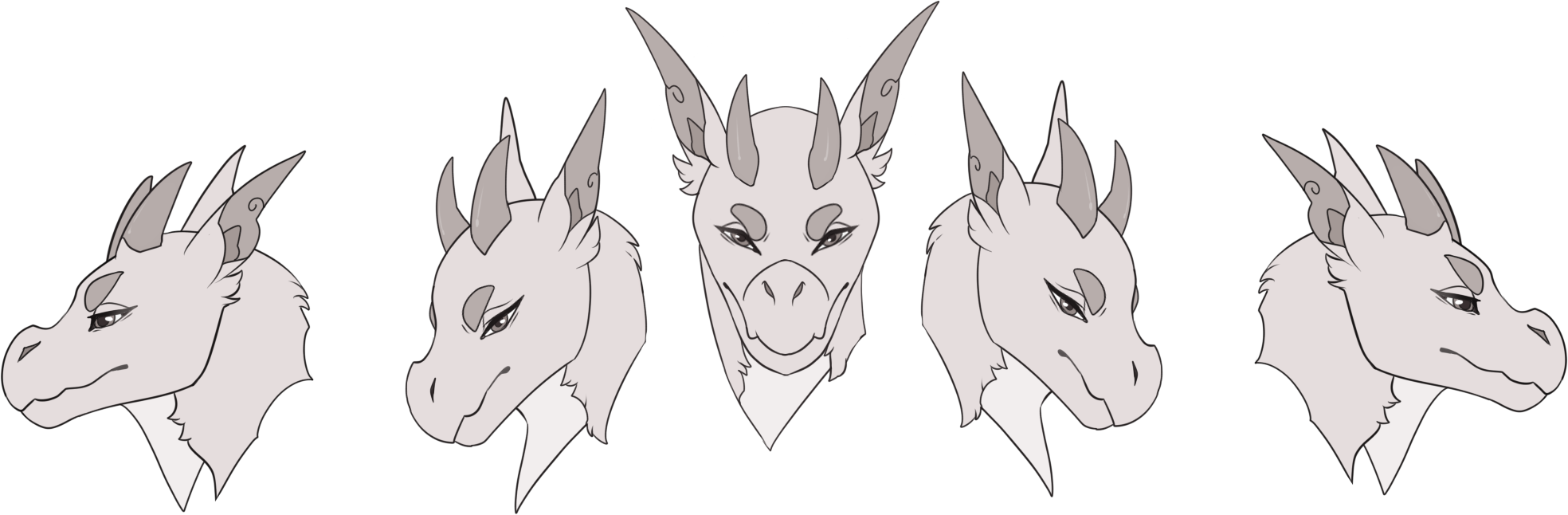 Aluris Have A Dragon/dog Like Cranial - Illustration (1968x646), Png Download