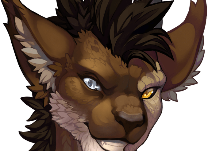 Nainporteki On Twitter - Twitter (800x491), Png Download