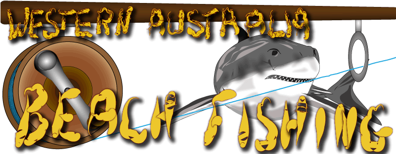 Fishing Western Australia, Beach Fishing - Fish (800x319), Png Download