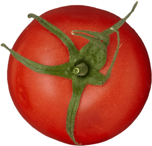 2 Unit - Plum Tomato (640x640), Png Download