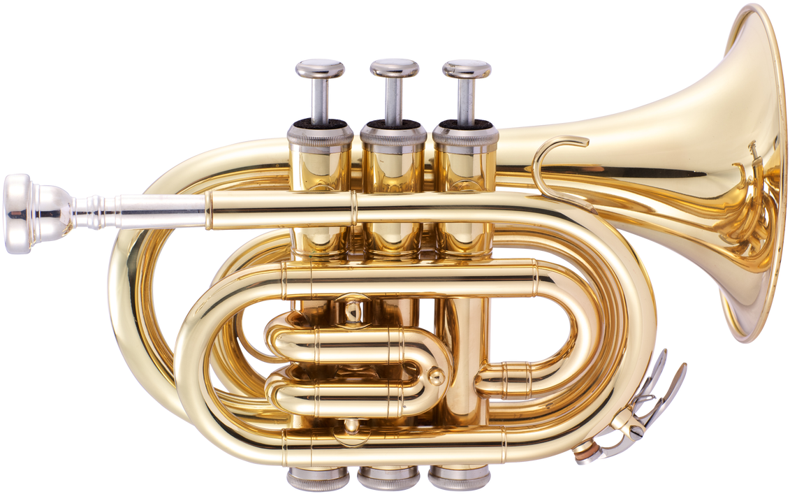 Jp159 Bb Pocket Trumpet Gold Lacquer Cutout - Jp E401869 John Packer Jp159 Bb Pocket Trumpet Lacquer (1200x790), Png Download