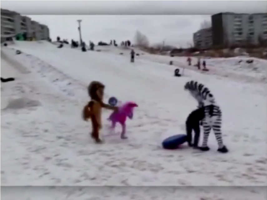 Hombres Disfrazados De Los Personajes De Madagascar - Film (1140x640), Png Download