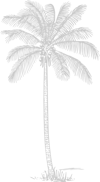 How To Set Use Gray Palm Tree 2 Svg Vector - Tropisches Ombre Sonnenuntergang Der Duschvorhang (330x599), Png Download