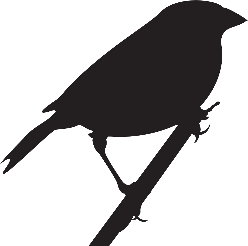 Baird's Sparrow - Grasshopper Sparrow Silhouette (1024x1024), Png Download
