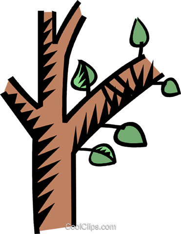 Rama De Árbol Libres De Derechos Ilustraciones De Vectores - Bulletin Board In Math (371x480), Png Download