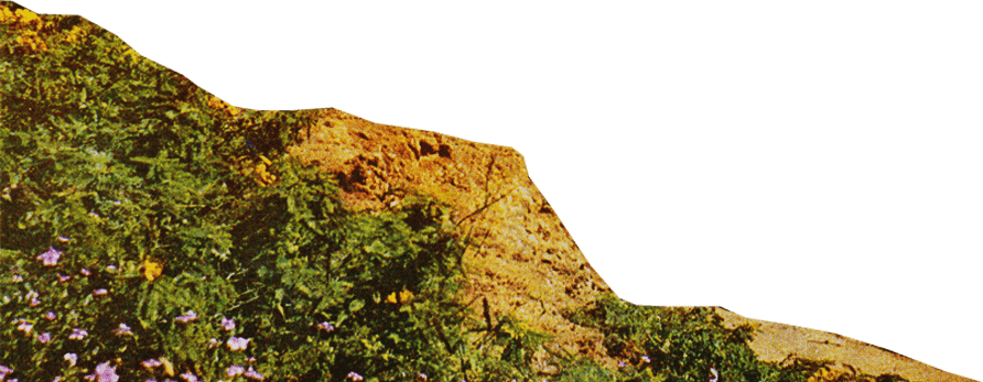 We're A Community Of Entrepreneurs Helping Exciting - Company (892x347), Png Download