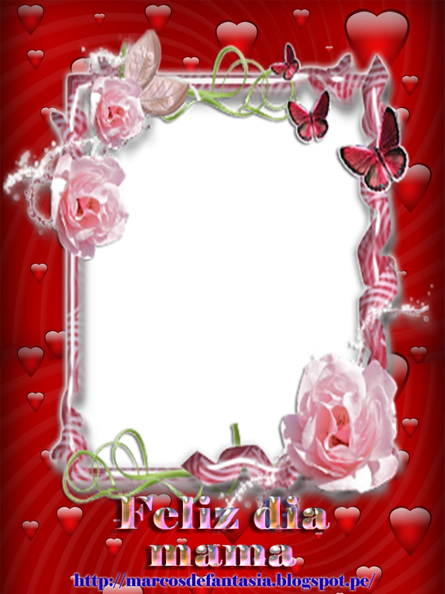 Es Muy Sencillo, Basta Que Solo Pinches El Marco De - Pink Rose Flower (900x1200), Png Download