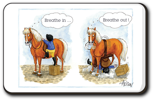 Fridge Magnet - Happy Birthday Alison Horses (600x600), Png Download