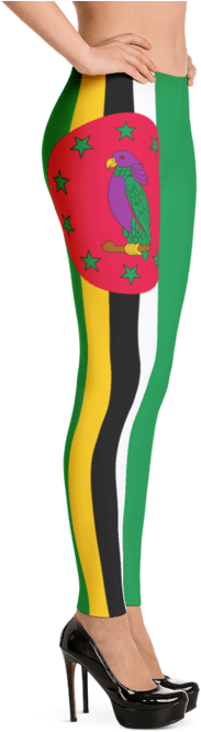 Dominica National Flag Leggings - Sexy Leggings, Sexy Lingerie Leggings, Fishnet Leggings, (700x700), Png Download