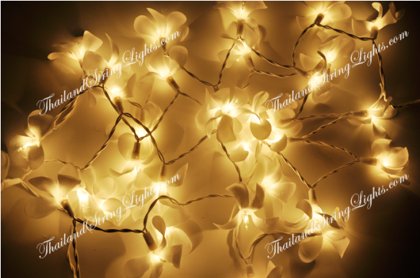 Lighting (590x590), Png Download