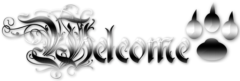 Cool Text 198667495015808 - Photograph (880x320), Png Download