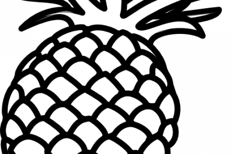 Pineapple Outline Clip Art - Pineapple Art Black And White (450x300), Png Download