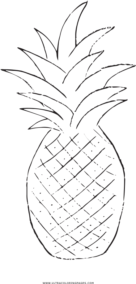 Pineapple Coloring Page - Line Art (1000x1000), Png Download