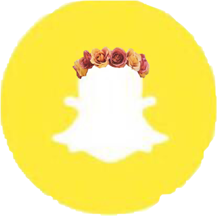 Circle (730x725), Png Download