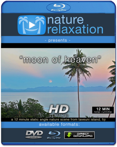 "moon Of Heaven" Tropial Moonrise Relaxation Video - 4k Resolution (480x480), Png Download