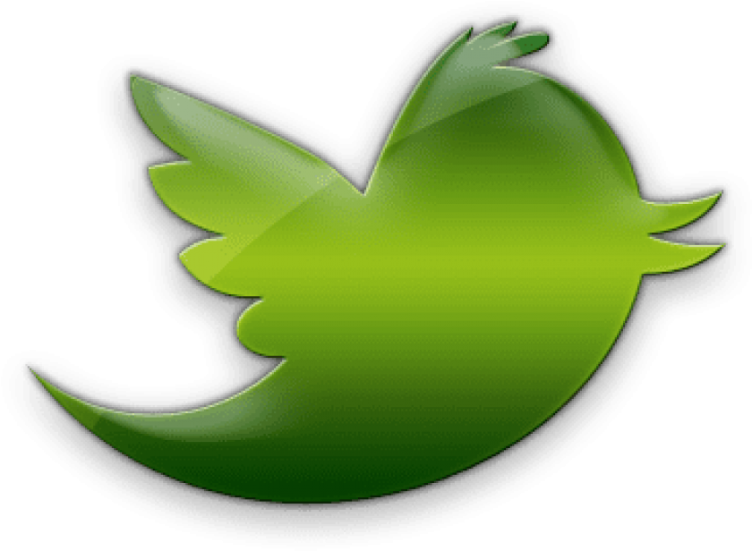 Green Bird Logo Twitter - Twitter Logo Green Png (420x420), Png Download