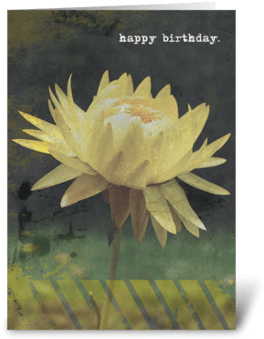 Greeting Card - Sacred Lotus (350x396), Png Download