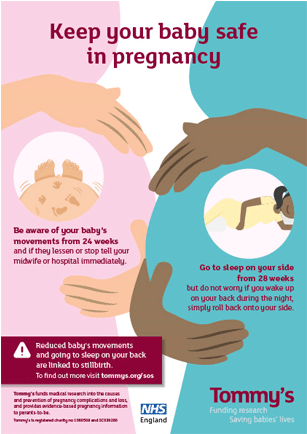 Obesity And Pregnancy Posters (800x450), Png Download