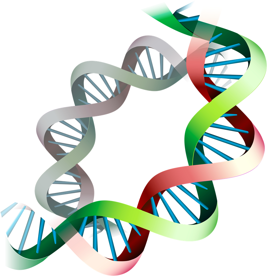 Epigenetic Expression Before And During Pregnancy - Gene Expression Png (1000x1000), Png Download
