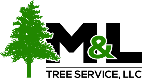 M & L Tree Services - Tree Silhouette Clip Art (500x300), Png Download