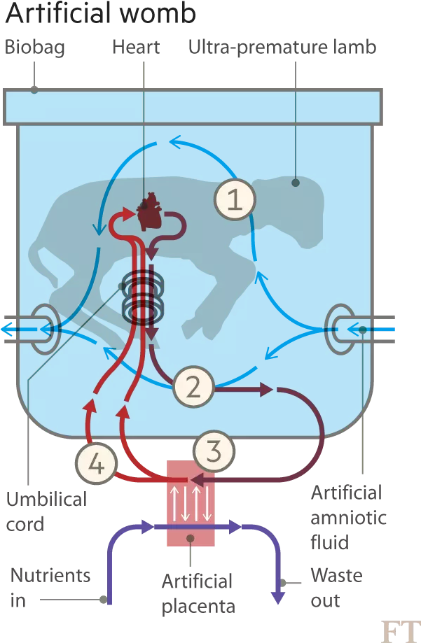 Download 25 Apr Diagram PNG Image with No Background