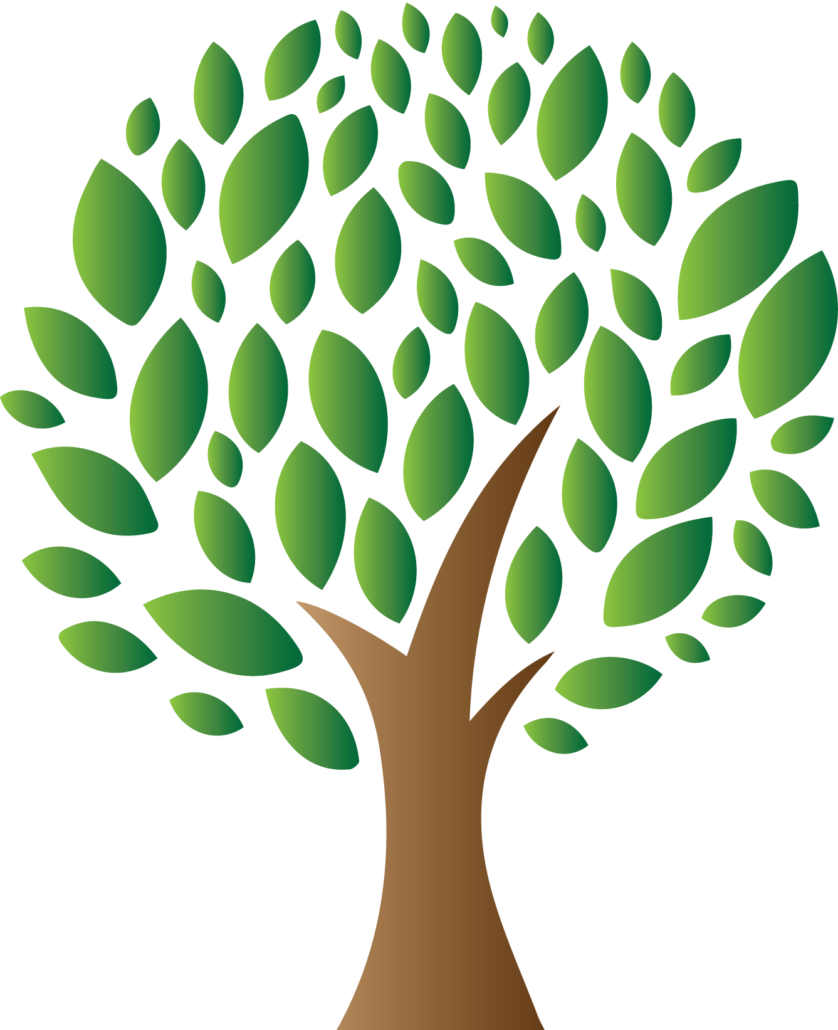 Better Growth - Modern Green Tree 08 Shower Curtain (838x1030), Png Download