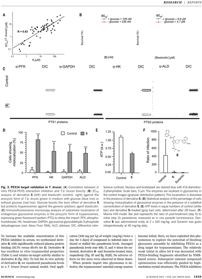 Document (729x929), Png Download