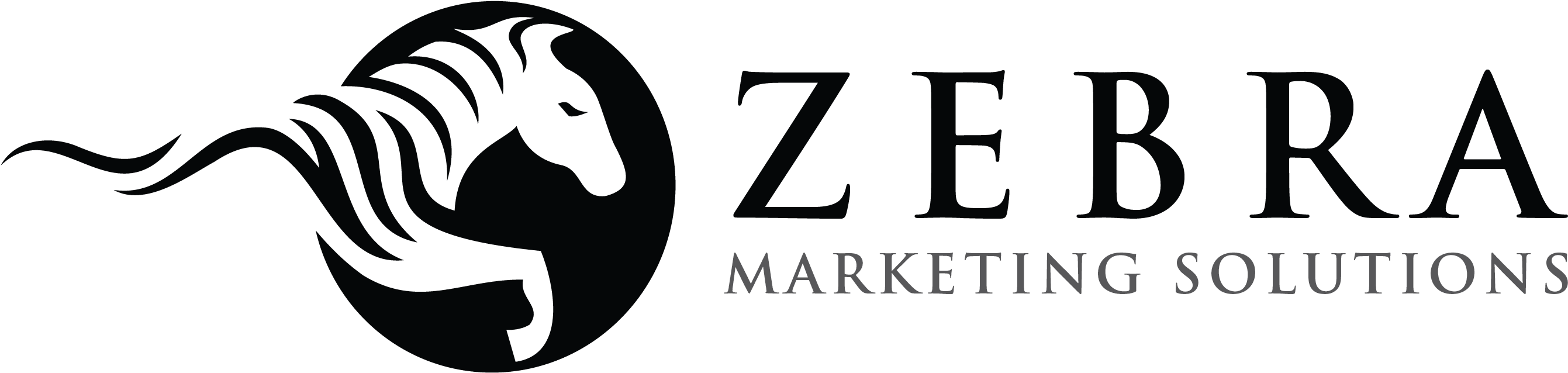 Zebra Marketing - Marketing (2830x718), Png Download