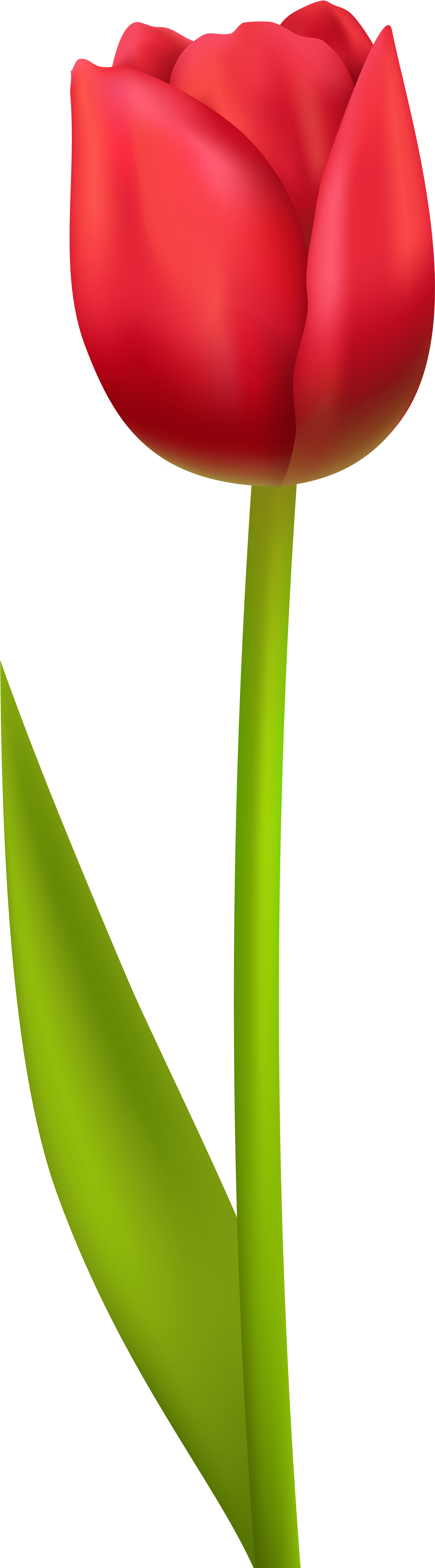 View Full Size - Clip Art (2531x8000), Png Download