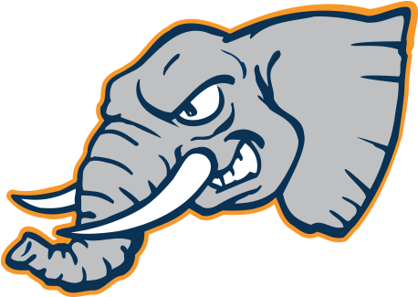 Csu Fullerton Titans - Cal State Fullerton Titans (500x500), Png Download