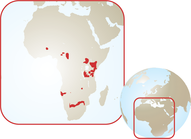 Giraffe - I'm With Her Mousepad (789x574), Png Download