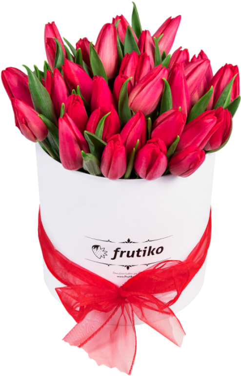 White Oval Box Of Red Tulips - Tulip (678x847), Png Download