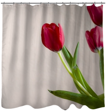Tulip (400x400), Png Download