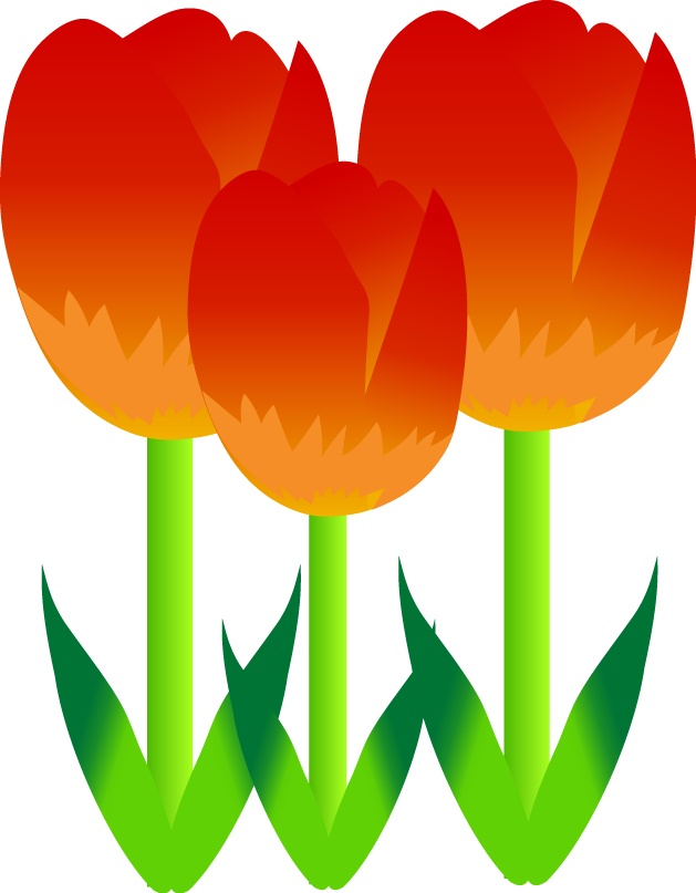 Free Vector Plentiful Tulip - Red Tulips Flower Shower Curtain (629x807), Png Download