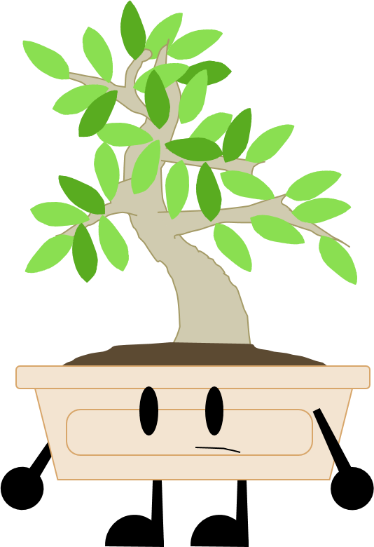 Elm Bonsai (534x780), Png Download
