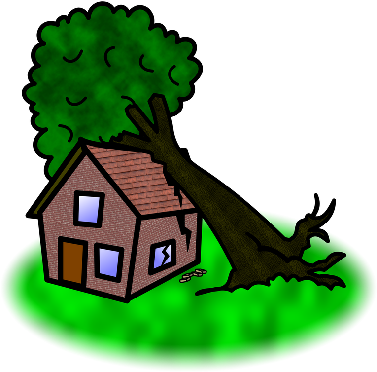 Symbol Verbs F - Tree Falling On House Cartoon (795x800), Png Download