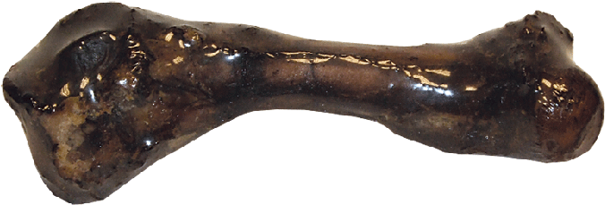 Jones Natural Chews Pork Femur Bone - Bone (700x700), Png Download