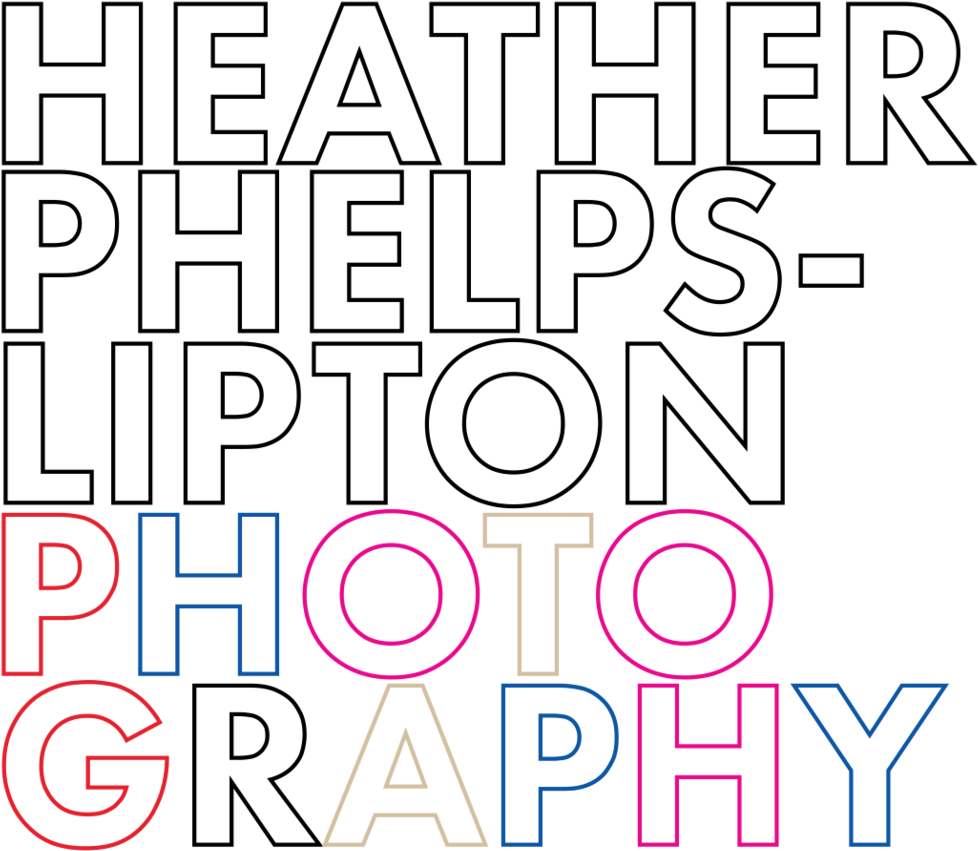 Lipton Logo Png (1000x1000), Png Download