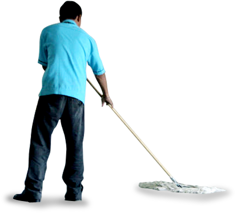 Survey - Everglades (664x433), Png Download