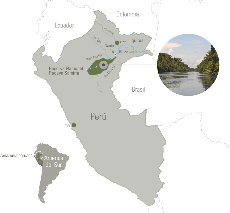 Expedition Map - Mapa Del Peru Regiones (782x708), Png Download