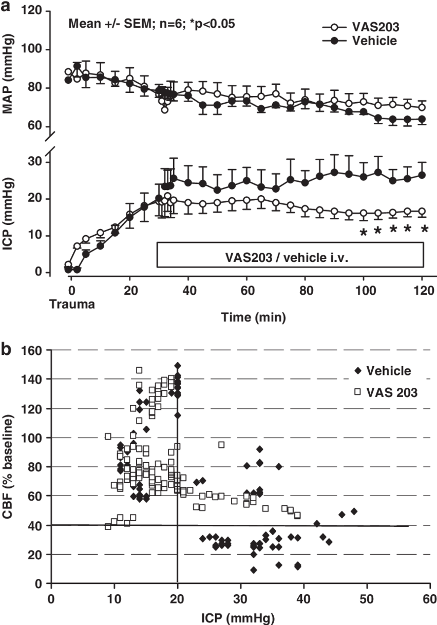 Effect Of Vas203 (i - Document (850x1226), Png Download