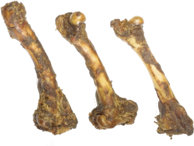 Jones Natural Chews Lamb Femur Bone - Usa Lamb Femur 7-9in (500x500), Png Download