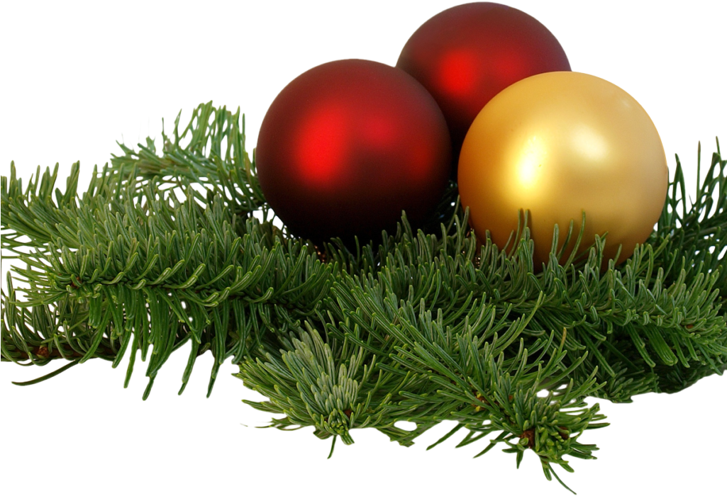 Christmas Branch Png Transparent Image - Free Christmas Decorations Png (1024x768), Png Download
